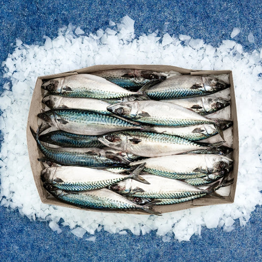 Whole Mackerel