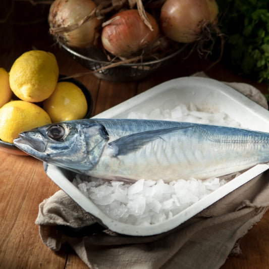 Frozen Whole Jack Mackerel