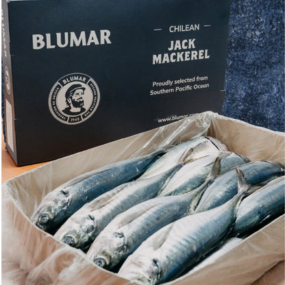 Jurel Entero Congelado