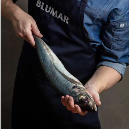 Jurel Entero Congelado